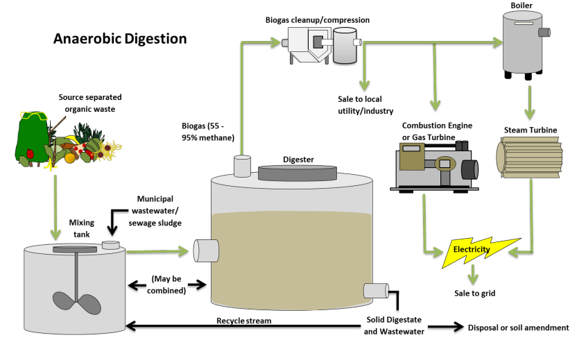 anaerobic conversion